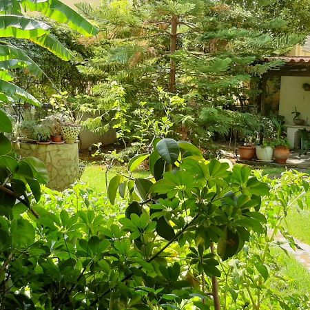 Lovely House Atene Esterno foto
